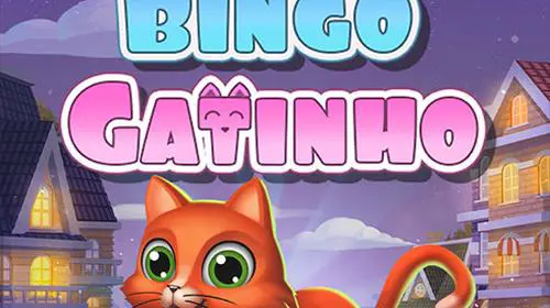 Bingo Gatinho coverImage