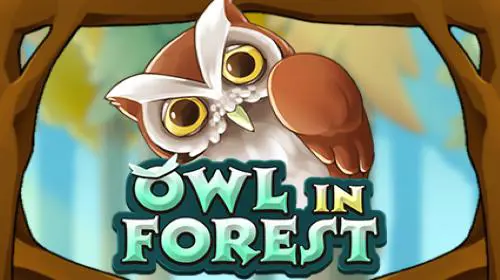 Owl In Forest coverImage