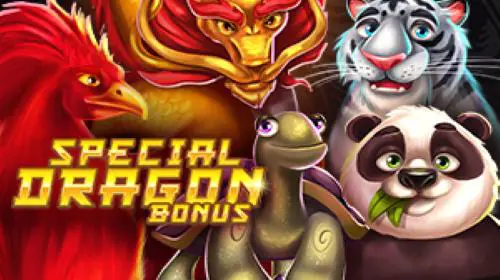 Special Dragon Bonus coverImage