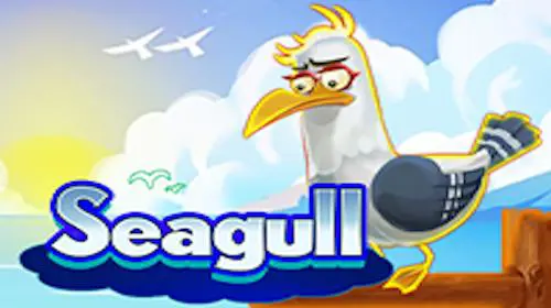 Seagull coverImage