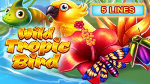 Wild Tropic Bird coverImage