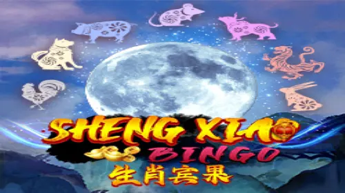 Sheng Xiao Bingo coverImage