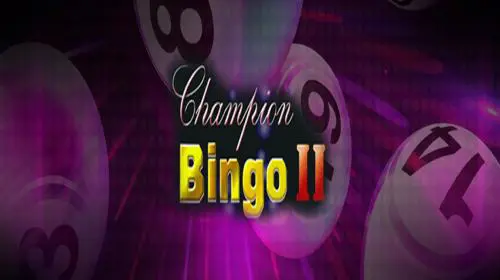 [Bingo]Champions 2 coverImage