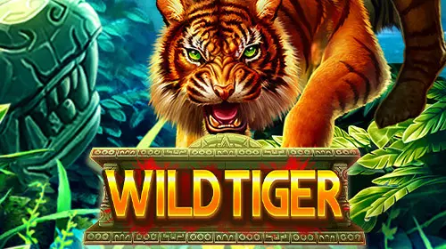 Wild Tiger coverImage