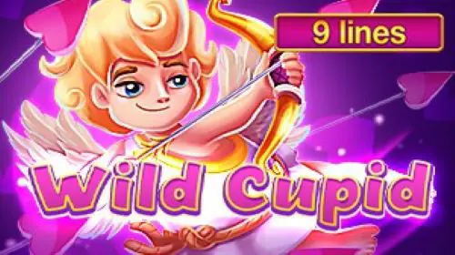 Wild Cupid coverImage