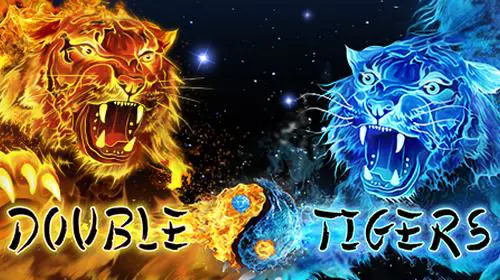 Double Tigers coverImage