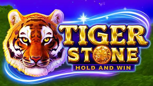 Tiger Stone coverImage
