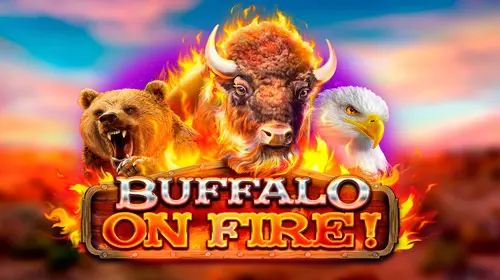 Buffalo on Fire! coverImage