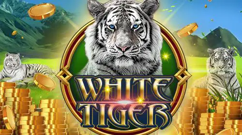 White Tiger coverImage