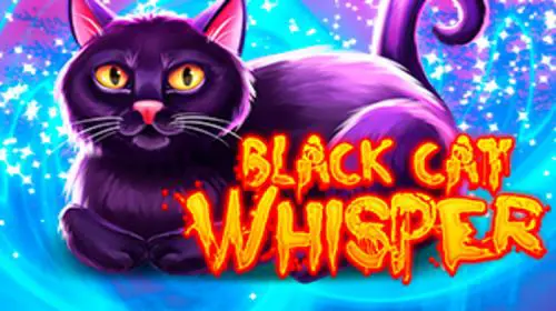 Black Cat Whisper coverImage