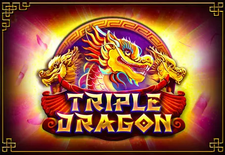 Triple Dragon coverImage