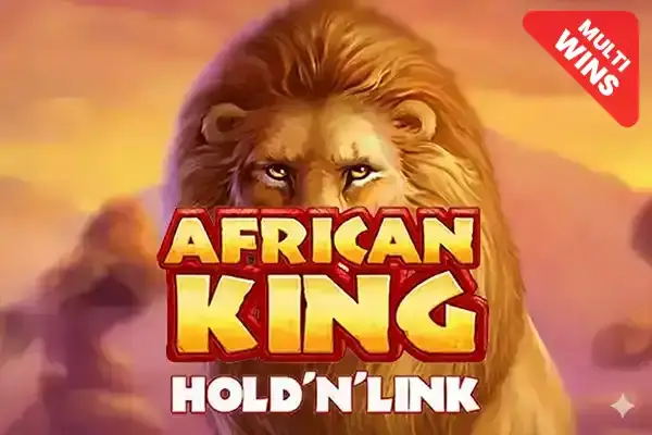 African King Hold'n'Link coverImage