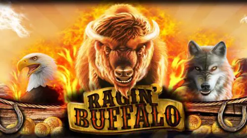 Ragin' Buffalo coverImage