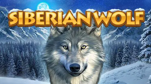 Siberian Wolf coverImage