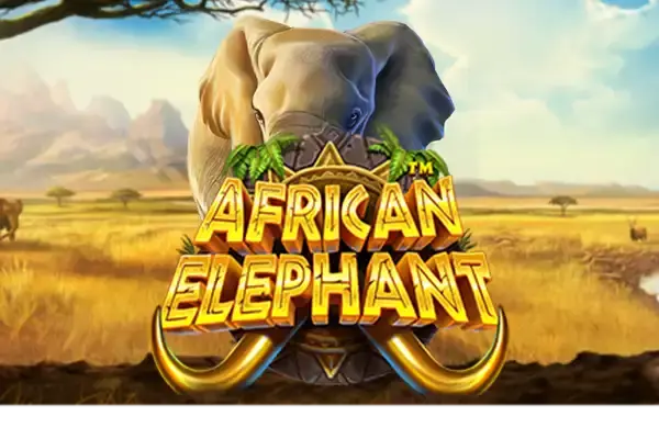 African Elephant coverImage