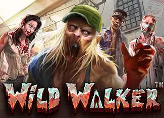 Wild Walker coverImage