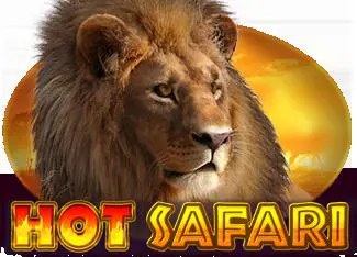 Hot Safari coverImage