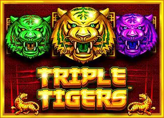 Triple Tigers coverImage