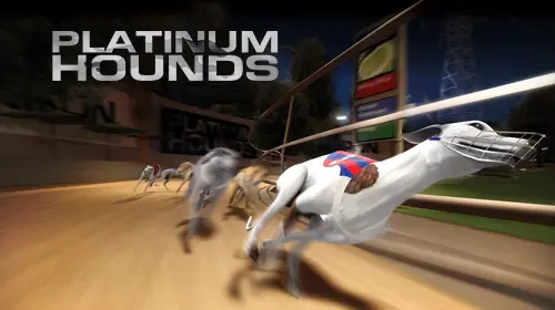 Dogs (Platinum Hounds) coverImage