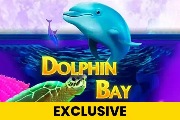 Dolphin Bay 95 coverImage