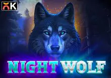 Night Wolf coverImage
