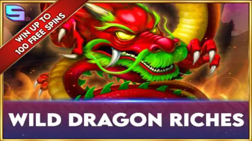 Wild Dragon Riches coverImage