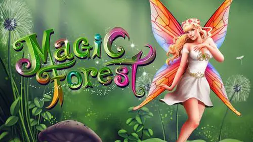 Magic Forest coverImage