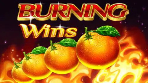 Burning 5 coverImage