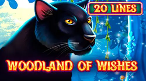 Woodland of Wishes coverImage