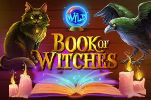 Book of Witches coverImage
