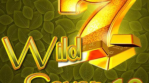Wild Seven 10 coverImage