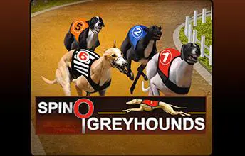Spinosports:Greyhounds coverImage
