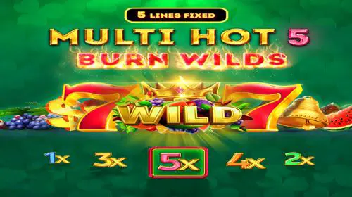 Multi Hot 5 Burn Wilds coverImage