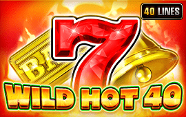 Wild Hot 40 coverImage