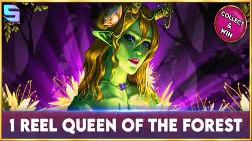1 Reel - Queen Of The Forest coverImage
