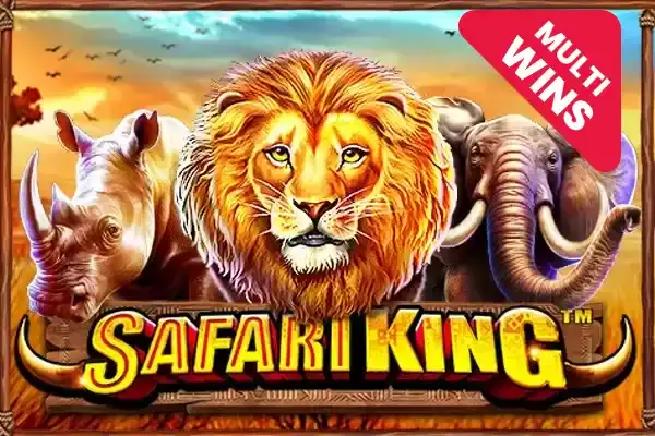 Safari King coverImage