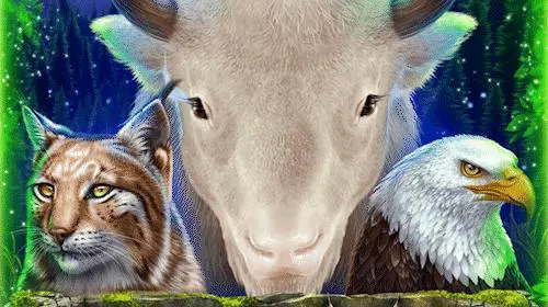 White Buffalo Miracles coverImage