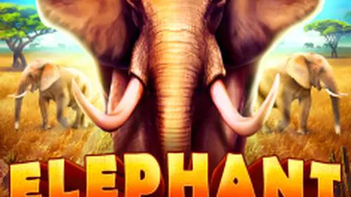 Elephant Stampede coverImage