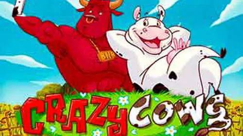 Crazy Cows coverImage