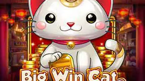 Big Win Cat coverImage