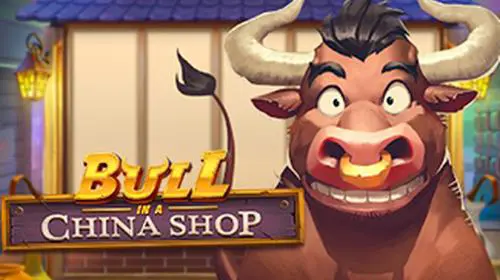 Bull in a China Shop coverImage