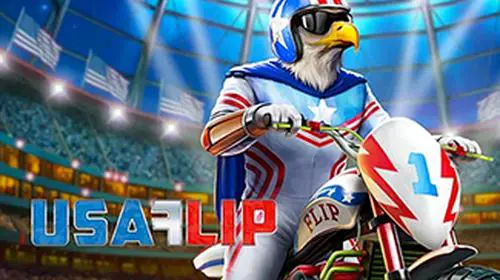 USA Flip coverImage