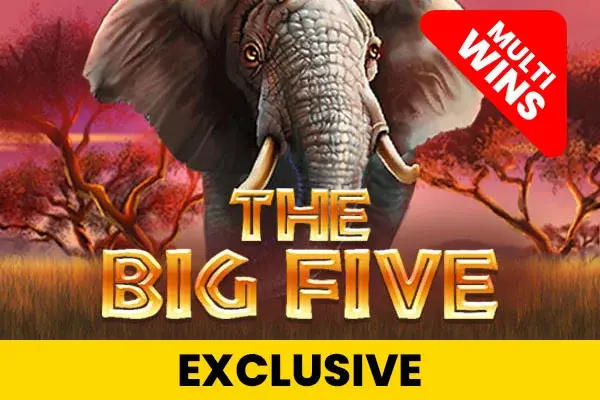 The Big Five coverImage