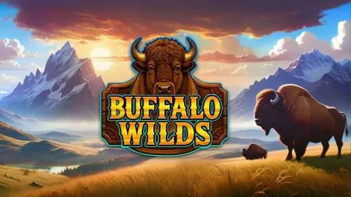 Buffalo Wilds coverImage