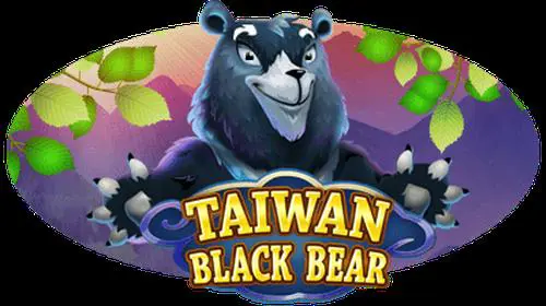 Taiwan Black Bear coverImage