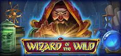 Wizard of the Wild coverImage