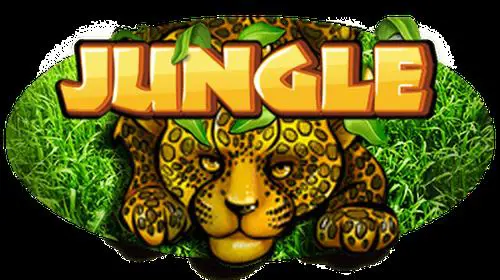 Jungle coverImage