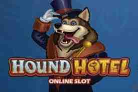 Hound Hotel