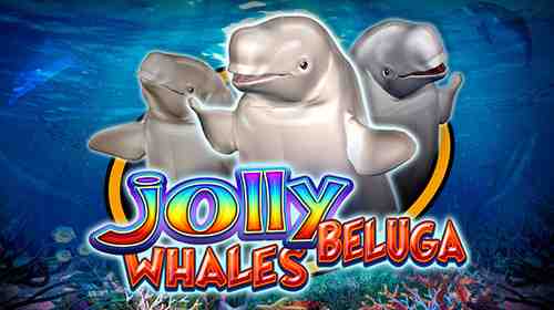 Jolly Beluga Whales