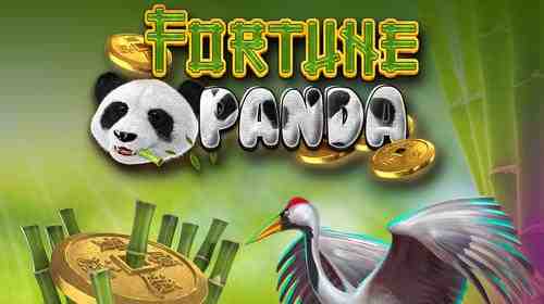 Fortune Panda